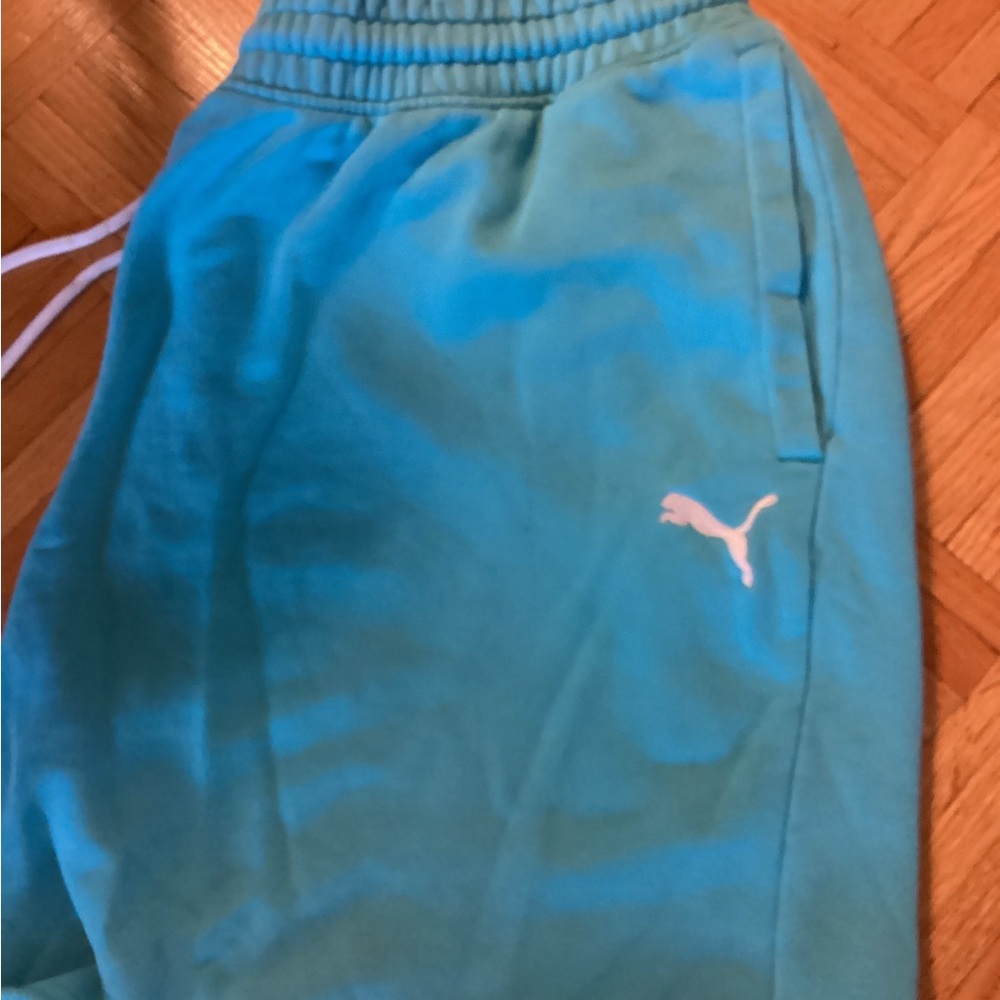 Puma Men's Teal Athletic Shorts